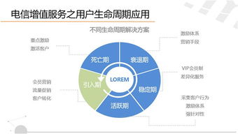 完美适配未来 移动电子商务短信服务与信息系统集成的专业之道
